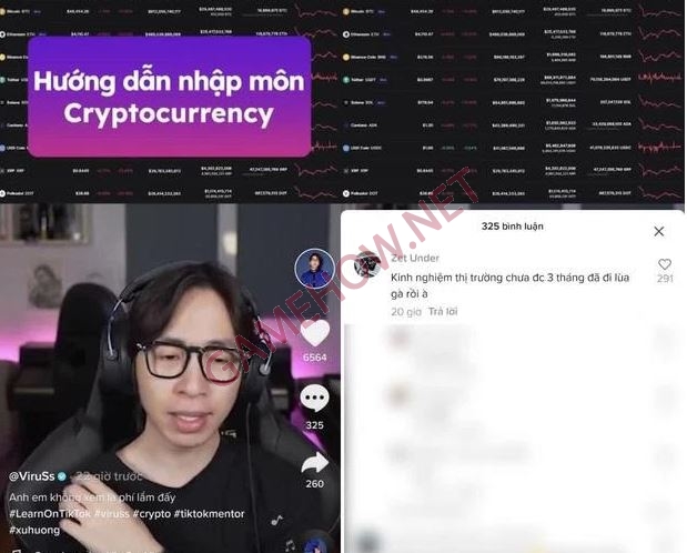 viruss bi to lua ga co that khong 3 JPG