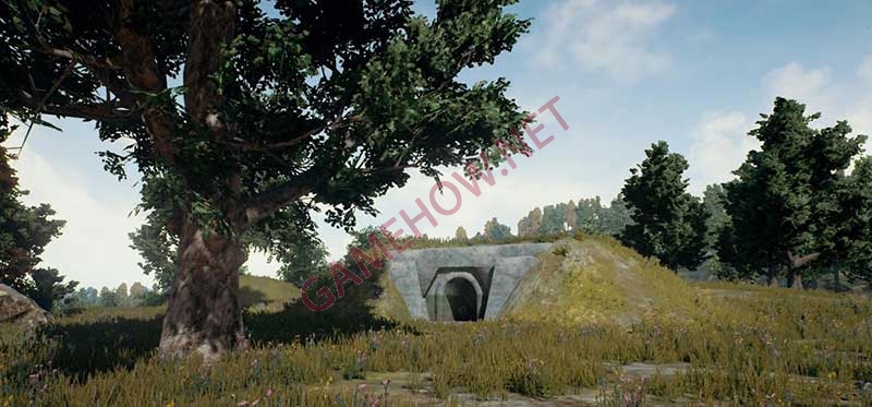 Shelter trong game jpg