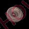 thoma 10 jpg