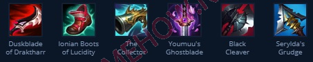 zed mua 13 7 jpg