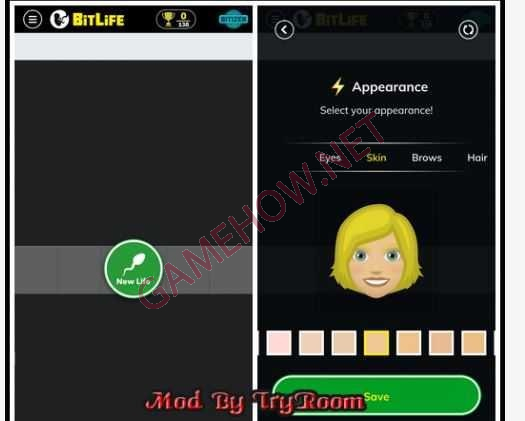 BitLife-Life-Simulator-v1341-Mod-APK-Download