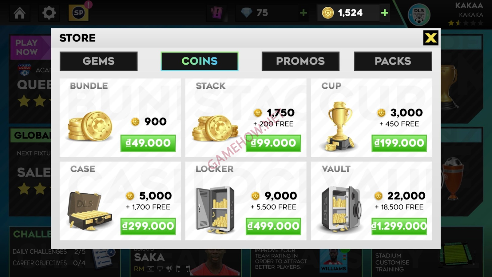 cach cay vang dls 2023 1 jpg