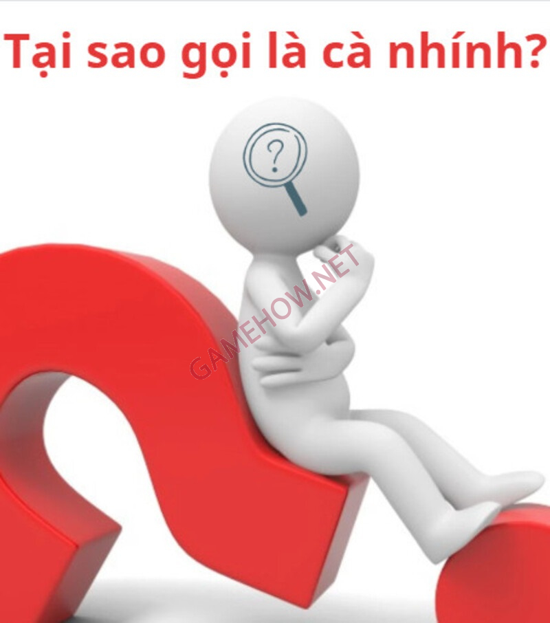 ca nhinh la gi 2 jpg