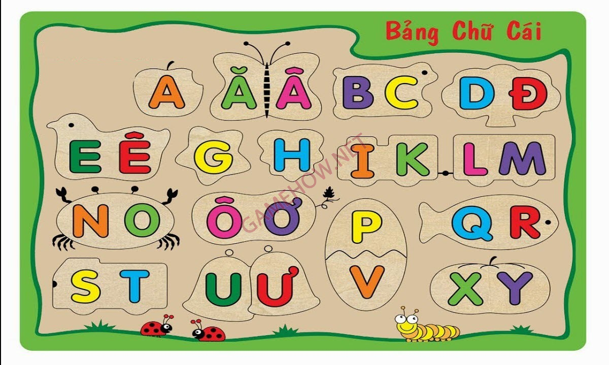 ca nhinh la gi 7 jpg