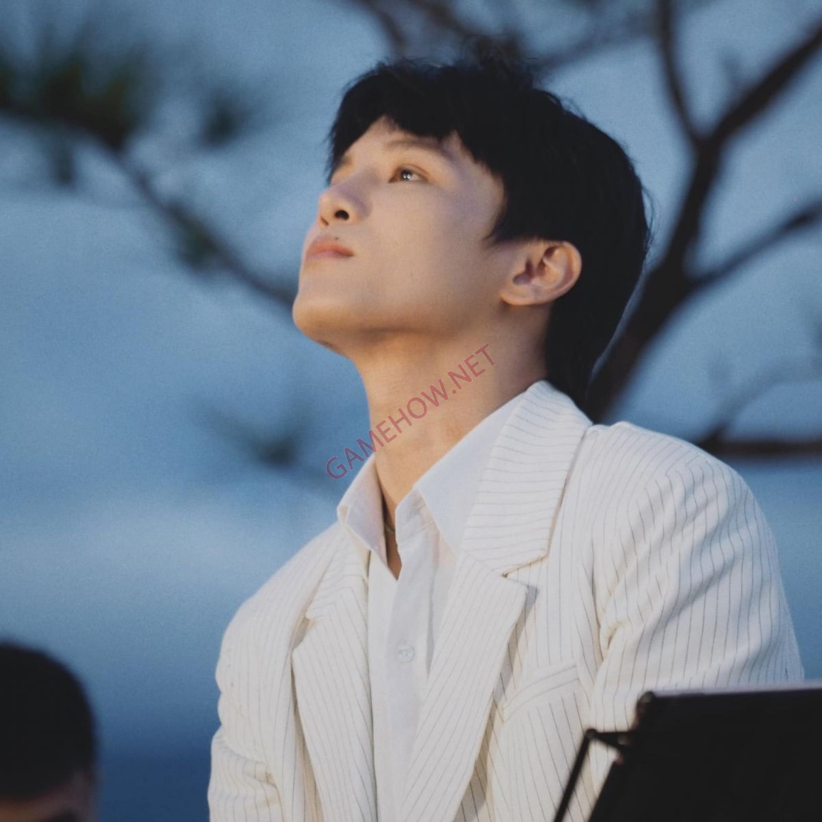 pham dinh thai ngan 12 jpg