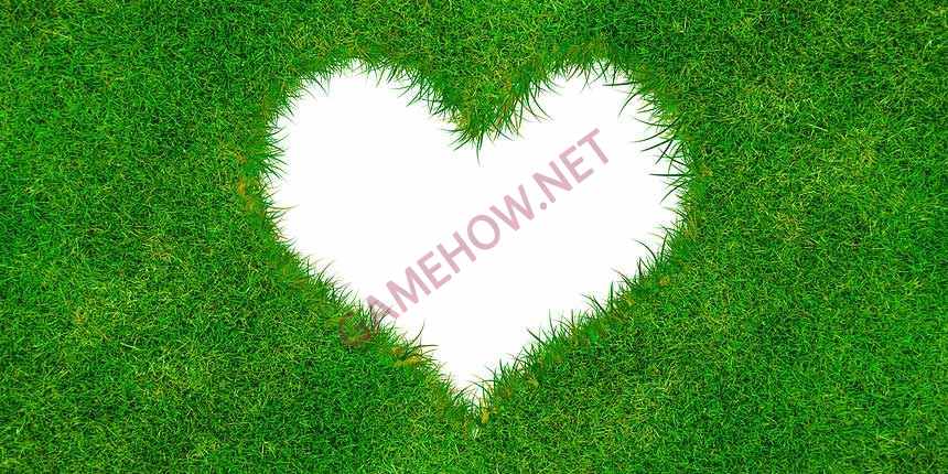 trai tim mau trang co y nghia gi 1 jpg