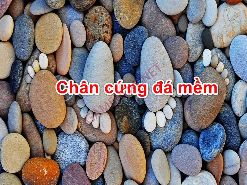 chan cung da mem 1 jpg