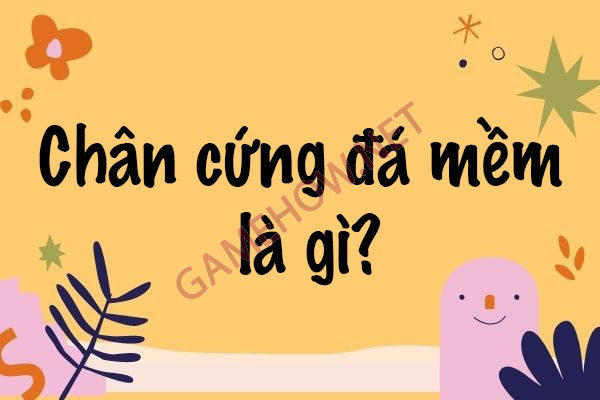 chan cung da mem 2 jpg