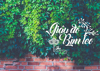 Giậu đổ bìm leo nghĩa là gì? Nguồn gốc ra đời của thành ngữ