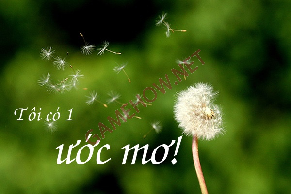 nhung cau noi hay ve uoc mo 4 jpg