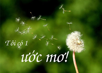 Top những câu nói hay về ước mơ thắp sáng khát vọng tuổi trẻ