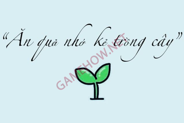 an qua nho ke trong cay 1 jpg