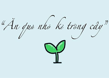 Giải thích Ăn quả nhớ kẻ trồng cây là gì? Nét đẹp dân tộc Việt