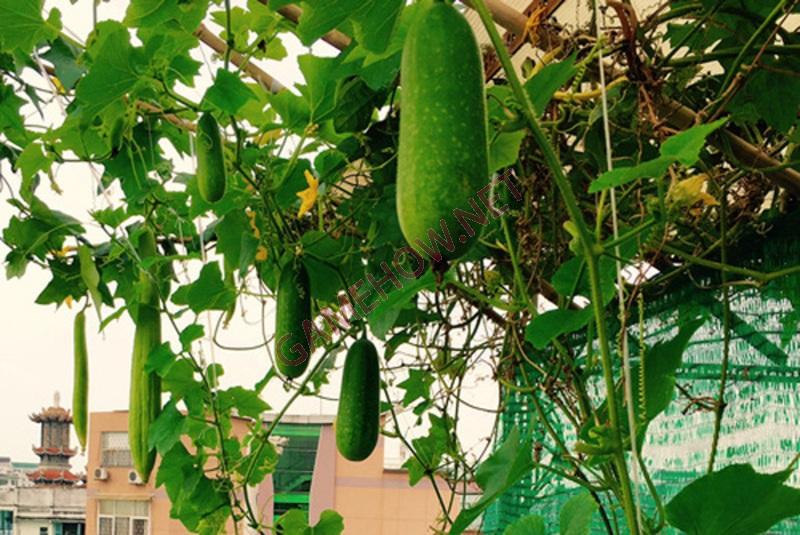 ca dao tuc ngu ve long yeu nuoc 1 jpg