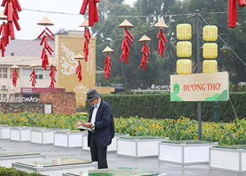 Thơ ca là gì? Những thể thơ trong kho tàng thơ ca Việt Nam