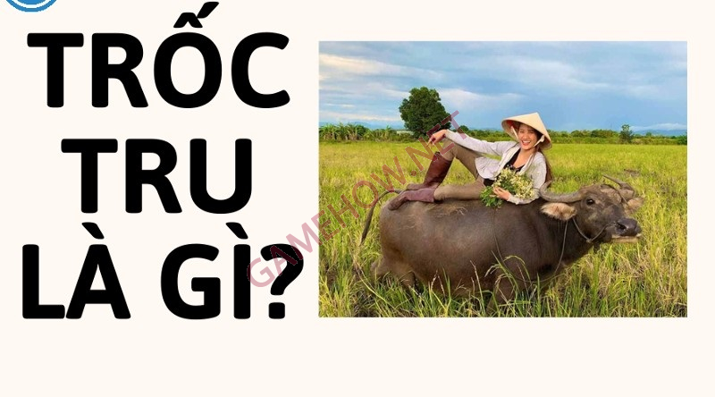 troc tru la gi 1 jpg