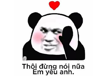 Meme gấu trúc, nguồn gốc và ý nghĩa ảnh meme gấu trúc