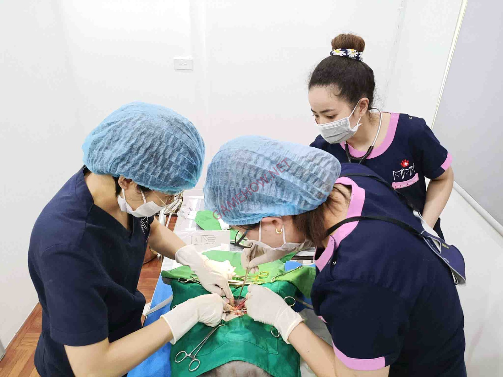 thu y gan day 10 jpg