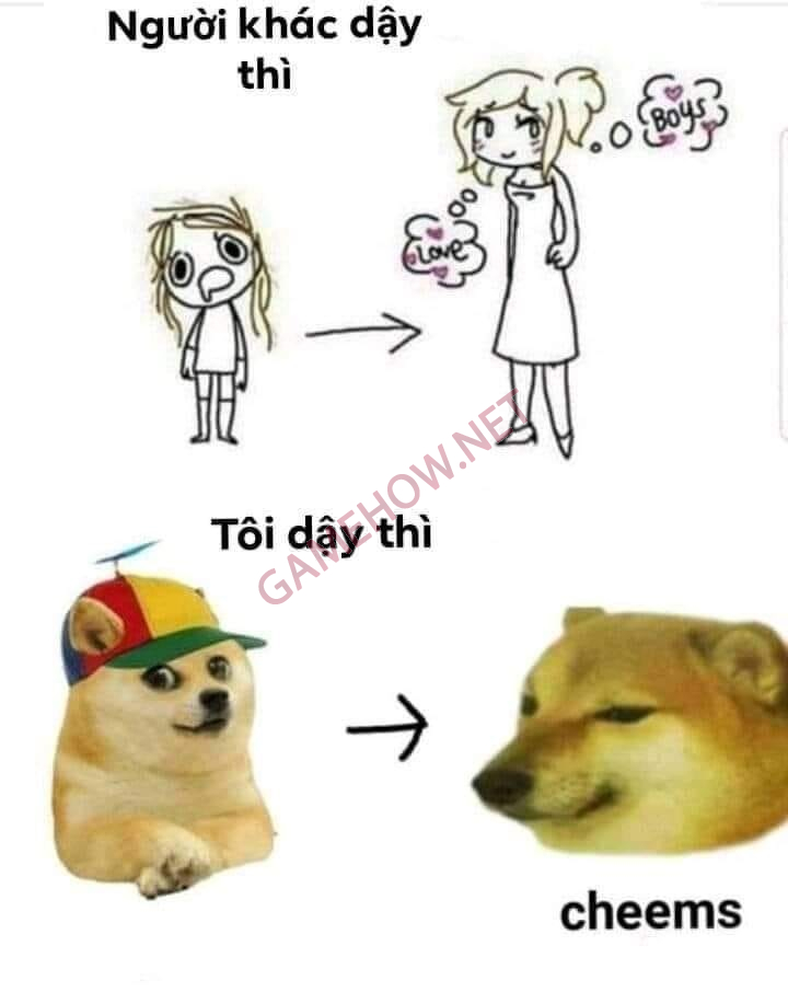 meme cheems 13 jpg