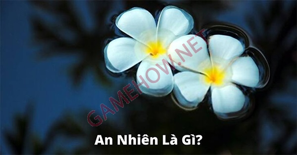 an nhien la gi 4 jpg