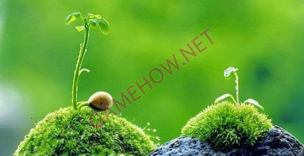 an nhien la gi 7 jpg