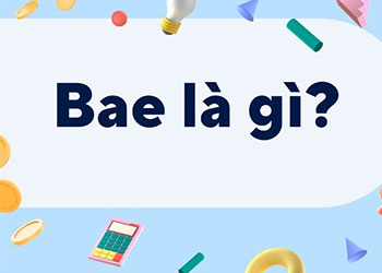 Bae là gì? Làm sao để tìm kiếm bae cho riêng mình