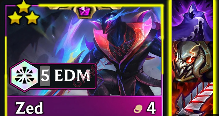 zed dtcl 3 jpg