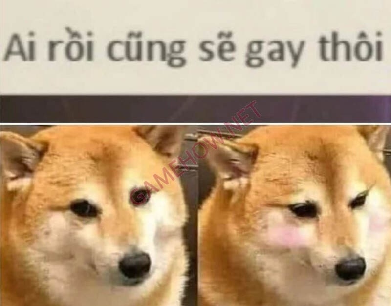anh se gay meme 8 jpg