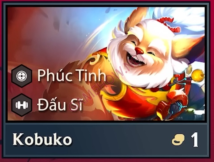 kobuko dtcl 2 jpg