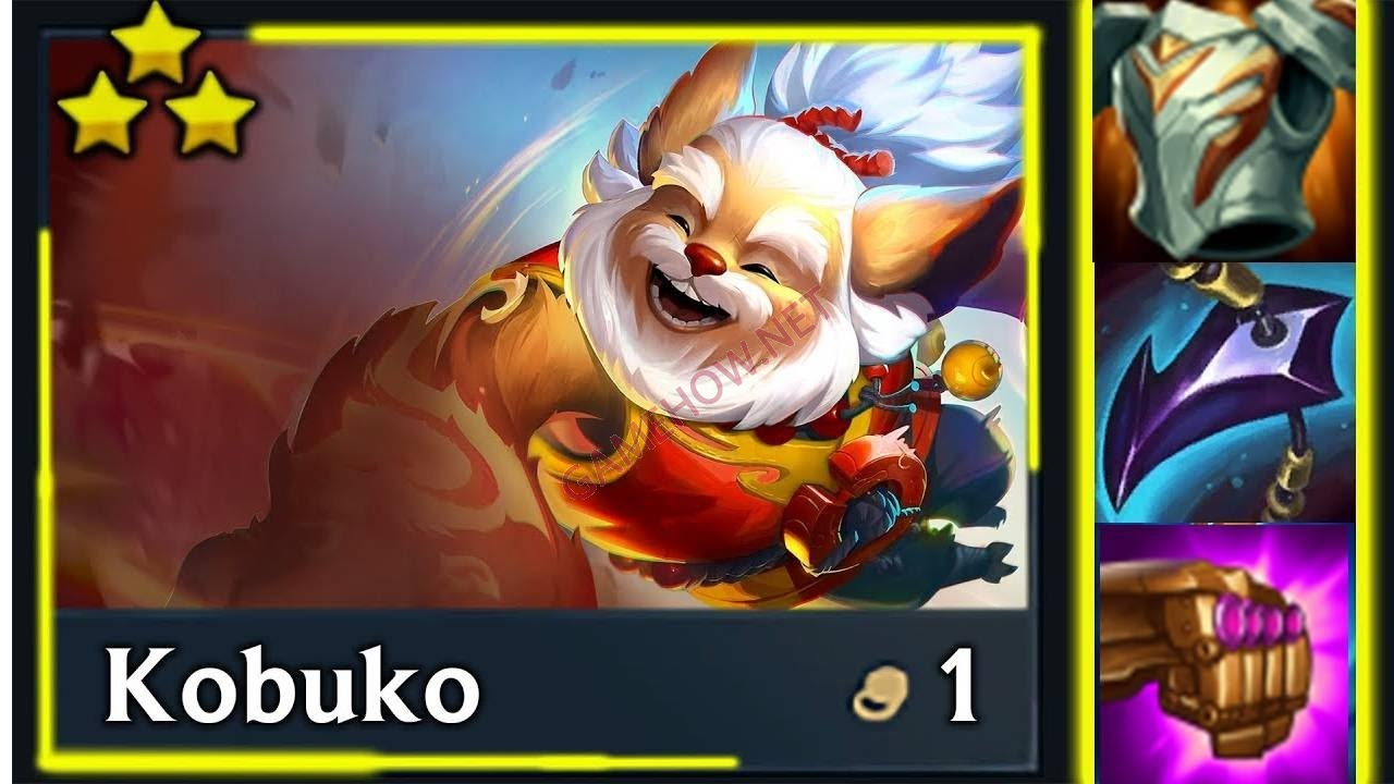 kobuko dtcl 3 jpg