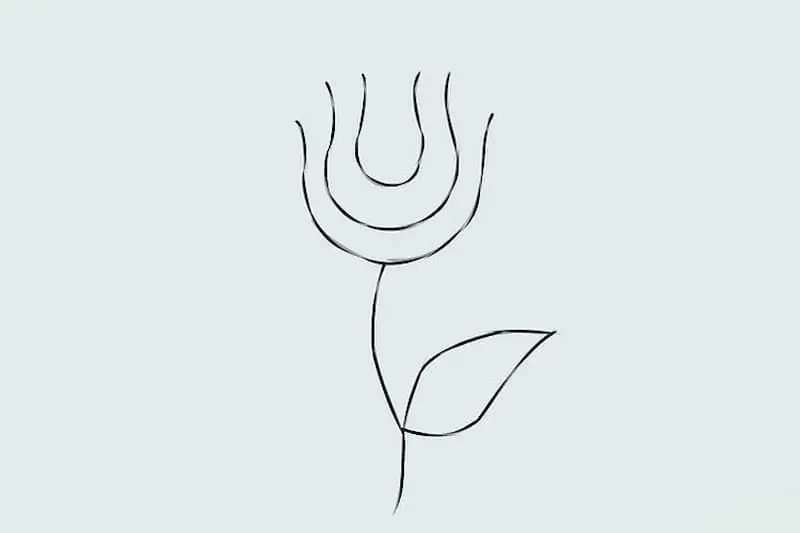 cach ve hoa hong 1 jpg