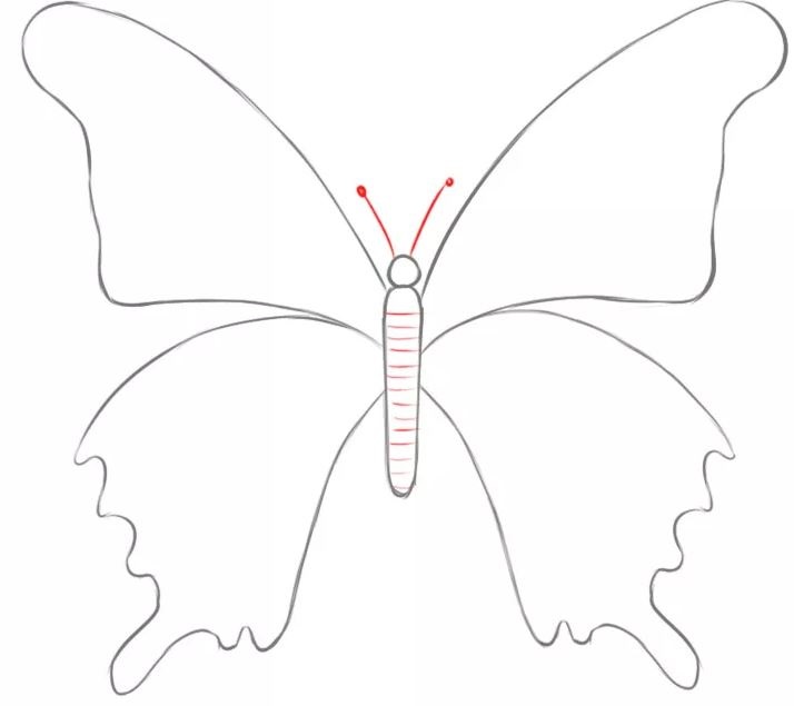 cach ve con buom 4 1  jpg