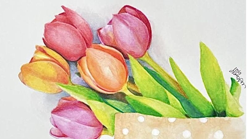 tranh ve hoa tulip 16 jpg