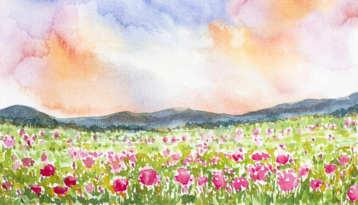 tranh ve hoa tulip 18 jpg