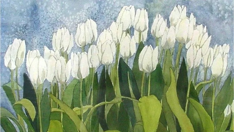 tranh ve hoa tulip 20 jpg
