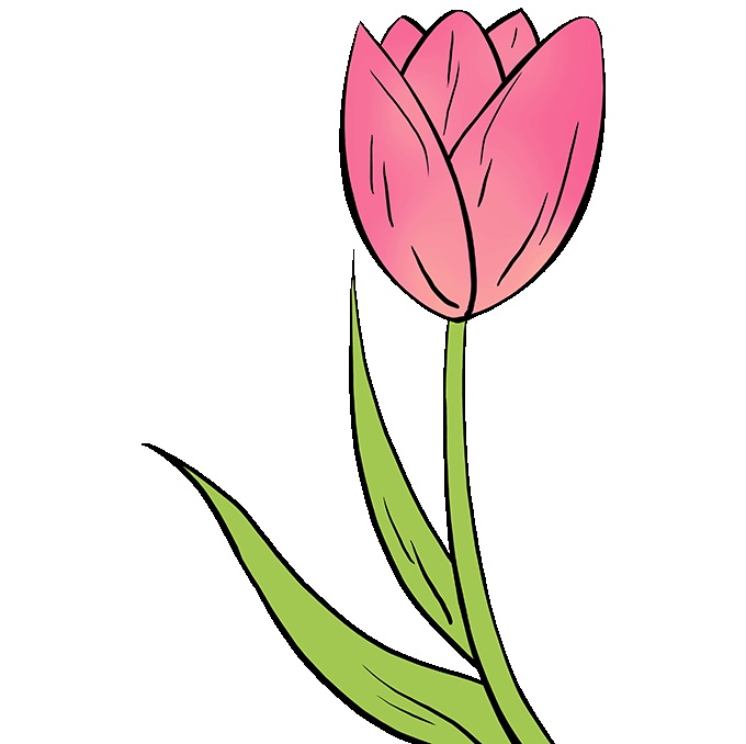tranh ve hoa tulip 8 jpg