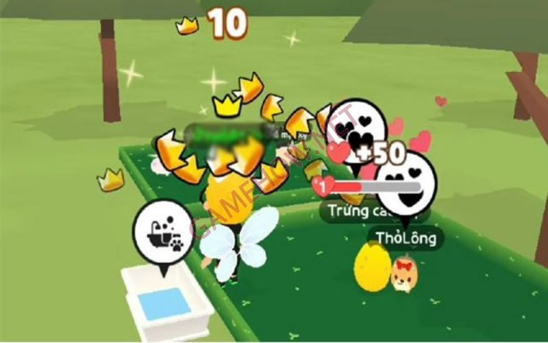 pet trong play together 1 jpg