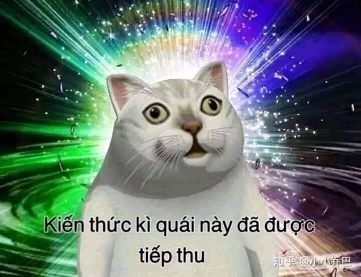 meme kien thuc ki quai nay da duoc tiep thu 1 1  jpg