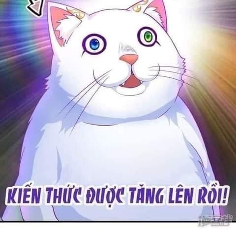 meme kien thuc ki quai nay da duoc tiep thu 3 1  jpg