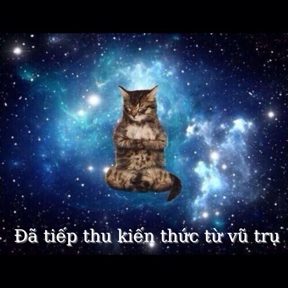 meme kien thuc ki quai nay da duoc tiep thu 5 jpg