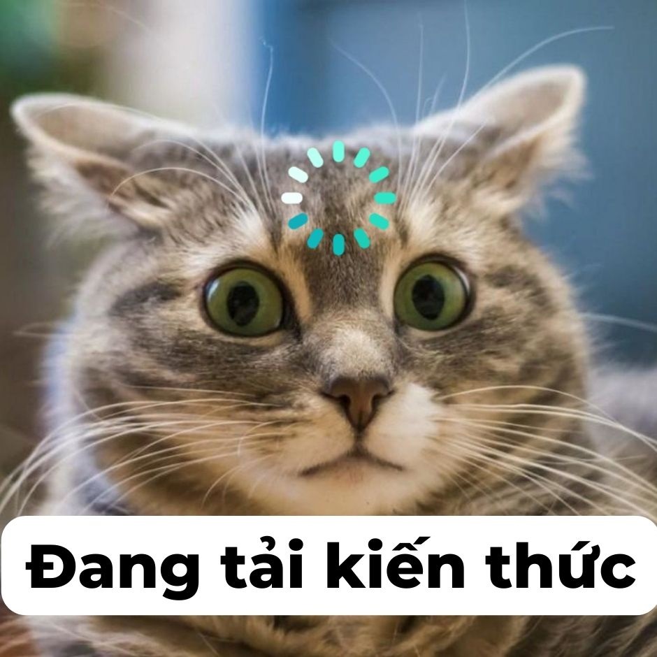 meme kien thuc ki quai nay da duoc tiep thu 6 jpg