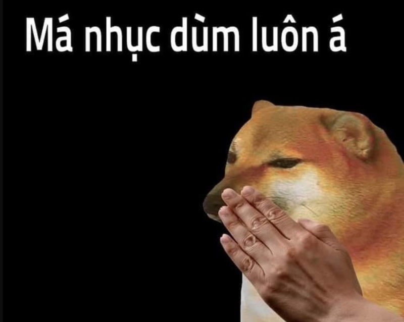 meme cho 11 jpg