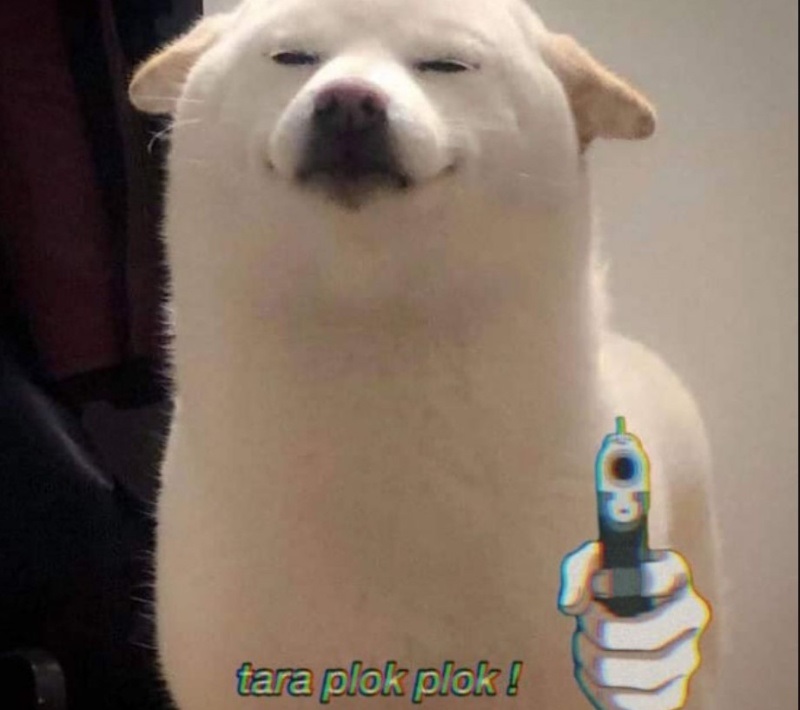 meme cho 12 jpg