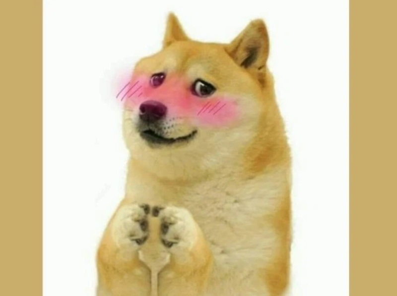 meme cho 13 jpg
