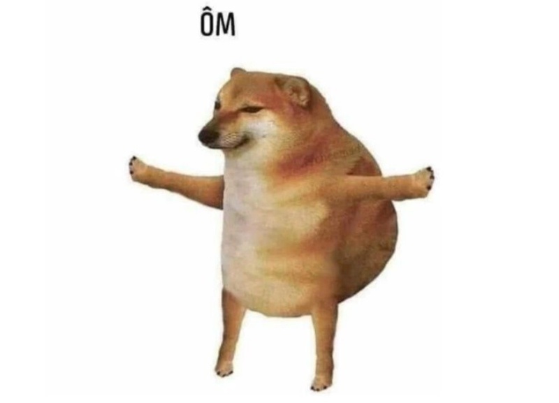 meme cho 14 jpg