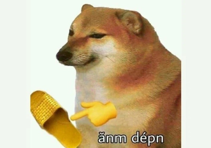 meme cho 15 jpg