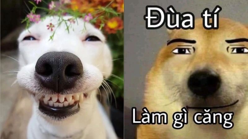 meme hai 13 jpg