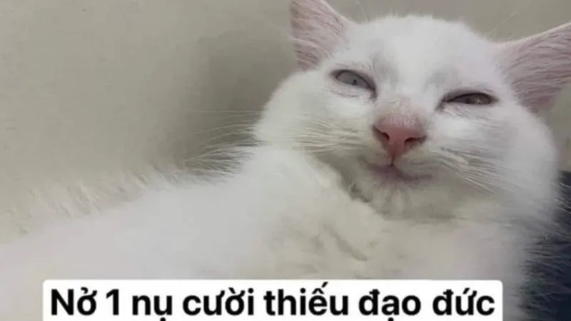 meme hai 3 jpg