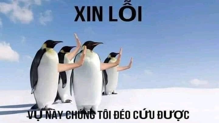 meme het cuu 1 1  jpg