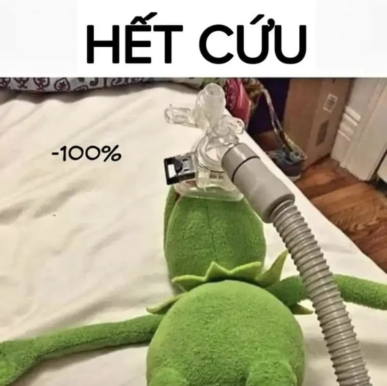 meme het cuu 11 jpg
